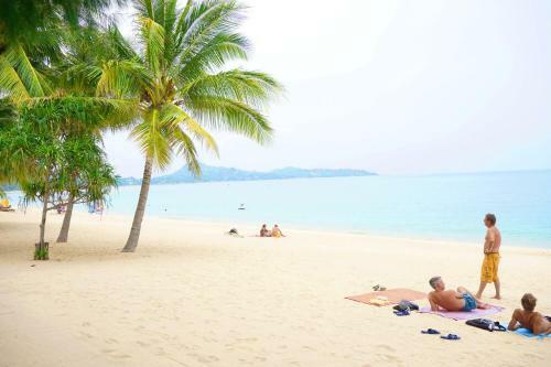 Hotel Lamai Inn 99 Bungalows