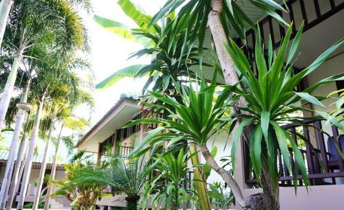 Hotel Lamai Inn 99 Bungalows