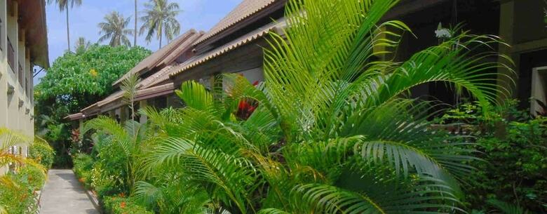 Apartamentos Buathong Place
