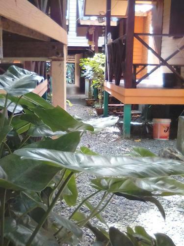 Hostal Green Sun