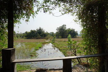 Hotel Sukhothai City Resort