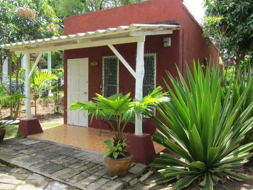Hotel Forest Bungalows & Mama's Restaurant