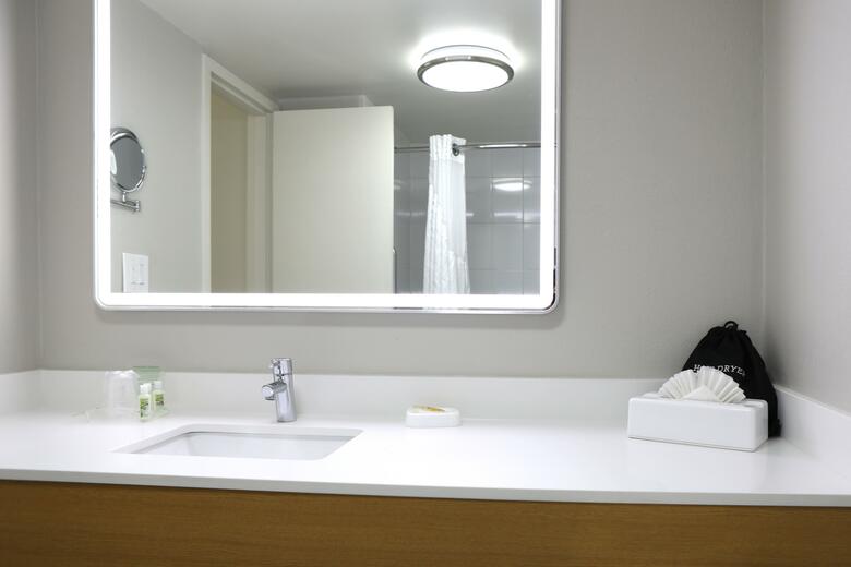 Hotel Holiday Inn Chicago O'hare
