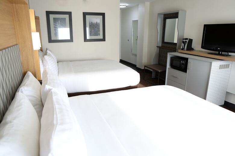 Hotel Holiday Inn Chicago O'hare