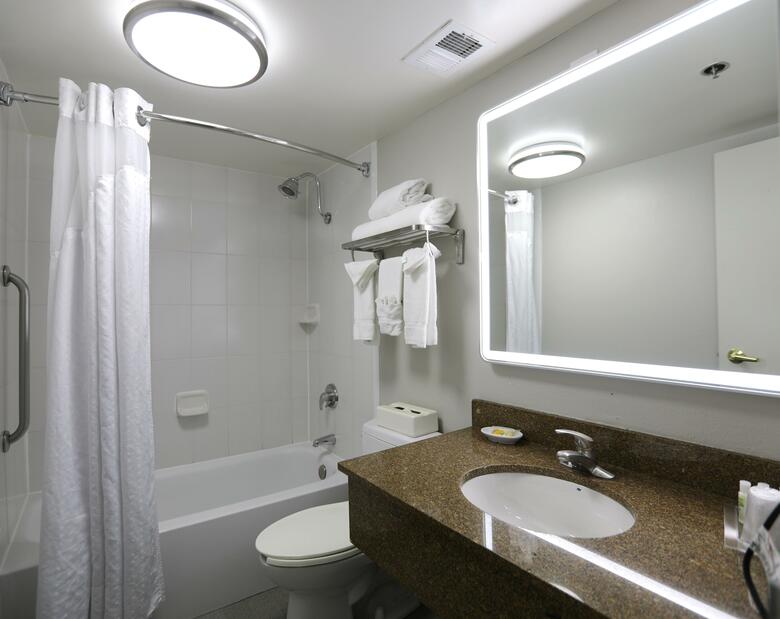 Hotel Holiday Inn Chicago O'hare