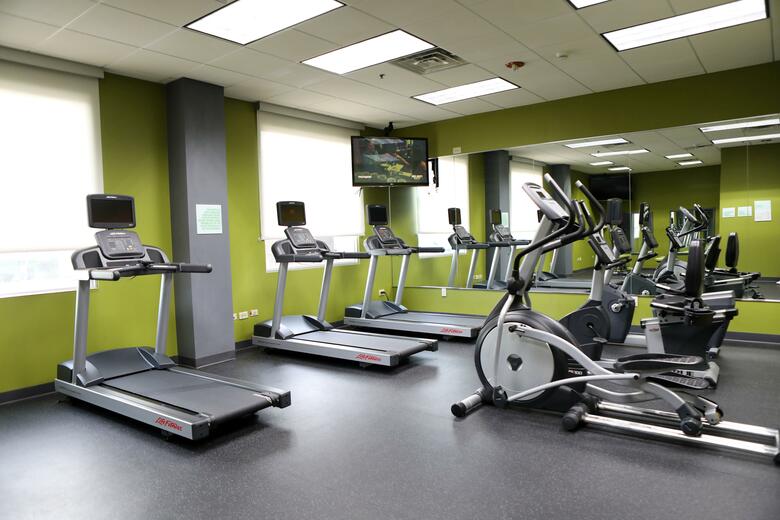 Hotel Holiday Inn Chicago O'hare