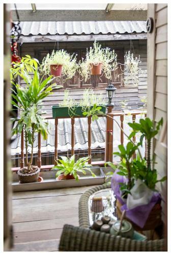 Hostal Baan Chantra