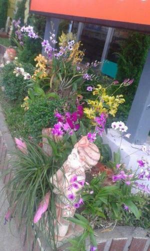 Hotel Pc Place Pattaya