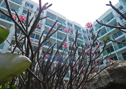 Apartamento Amazon Residence