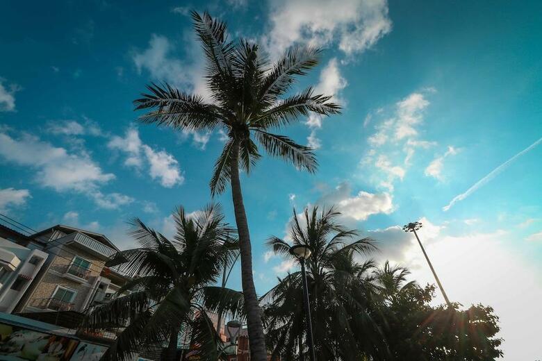 Hotel Mercure