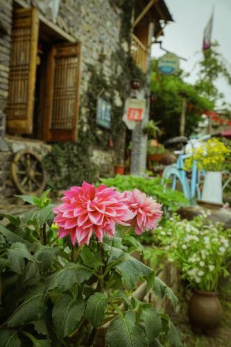 Xidi Kunlun International Hostel