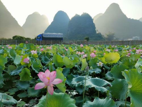 Agroturismo Yangshuo Tea Cozy