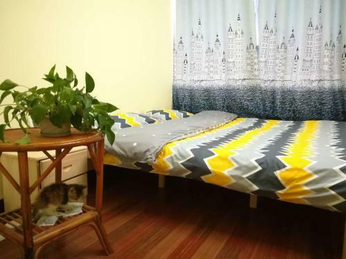 Albergue Bamboo House