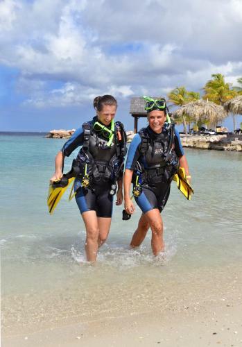 Hotel Lions Dive And Beach Resort
