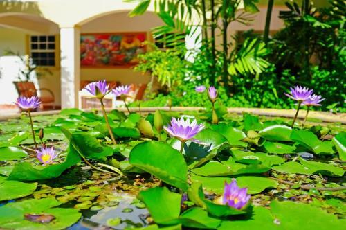 Hotel Blue Horizons Garden Resort