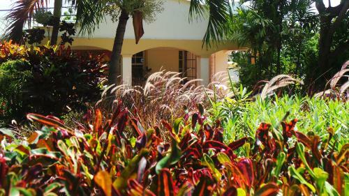 Hotel Blue Horizons Garden Resort