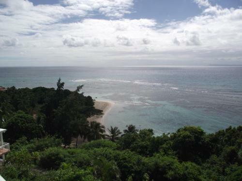 Apartamento L'oiseau Du Paradis Studio