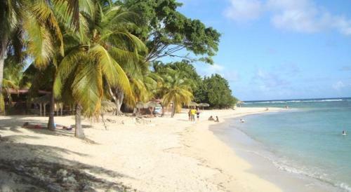 Apartamento L'oiseau Du Paradis Studio