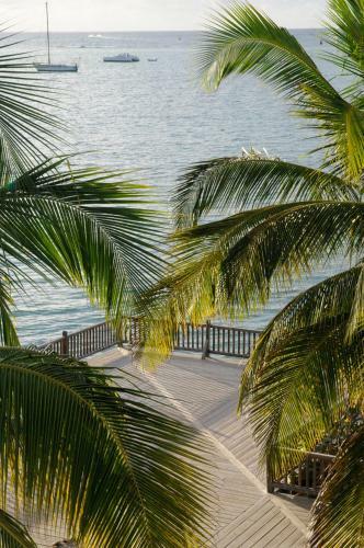 Hotel H�tel La Cocoteraie