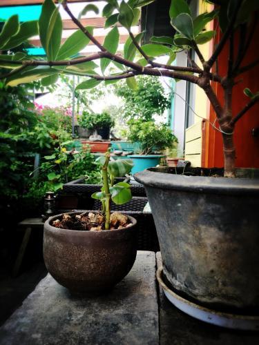 Hostal Dingxiang No.9 Inn