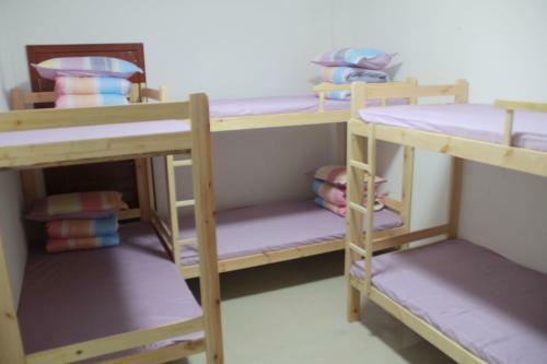 Tibetan Barley Youth Hostel