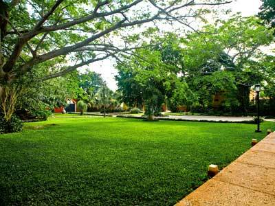 Hotel Hacienda Misne