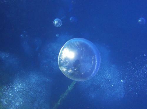 Hotel Red Sea Dive Center