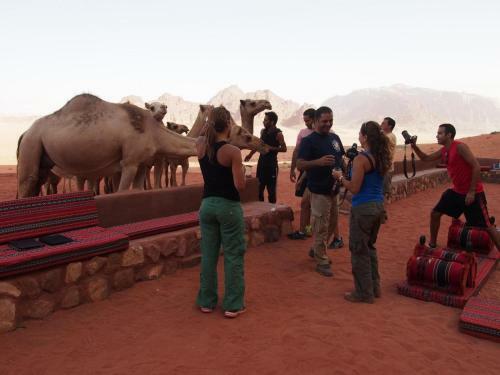 Bedouin Lifestyle Camp