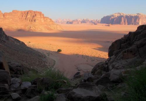 Bedouin Lifestyle Camp