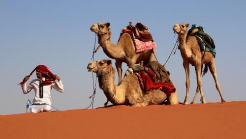 Bedouin Lifestyle Camp