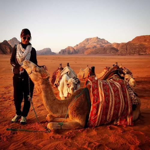 Real Bedouin Camp