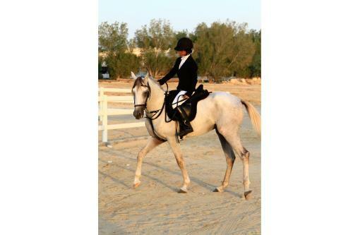 Hotel Dana Beach Resort