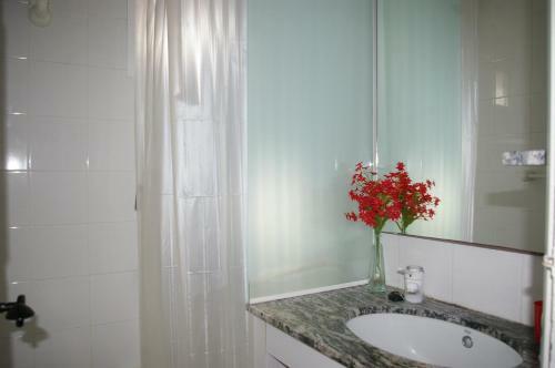 Apartamento Salionc 1