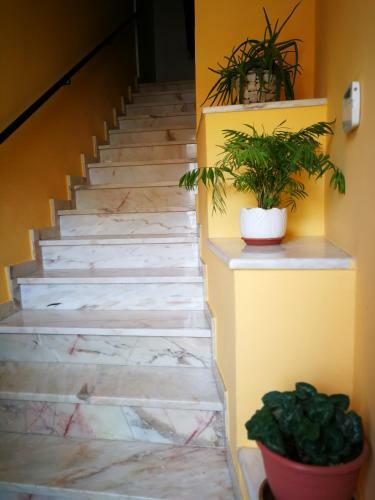 Apartamento Rural La Plaza Vieja