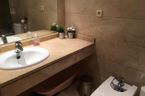 Apartamento Dama De Noche