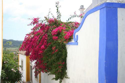 Villa Casa Pinha