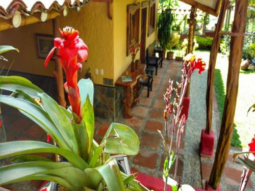 Hotel La Casa Que Canta