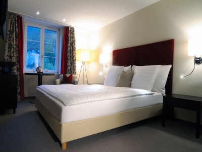 Hotel Krebs