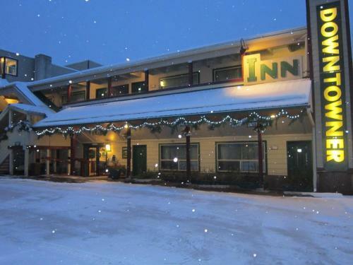 Motel Downtowner Inn