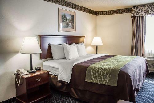 Hotel Quality Inn & Suites Delaware