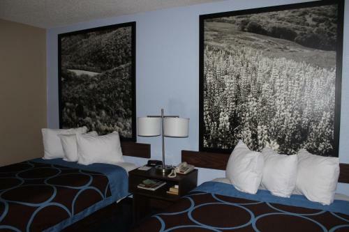 Hotel Super 8 By Wyndham Stroudsburg