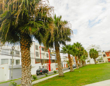 Trujillo - El Golf Apartments