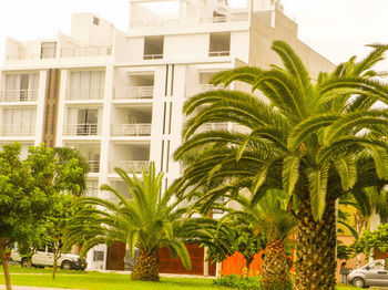 Trujillo - El Golf Apartments