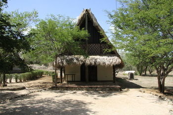 Hotel Punta Teonoste