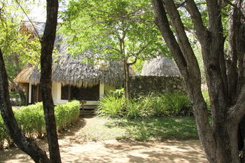 Hotel Punta Teonoste