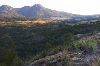 Posada Tomjachu Bush Lodges