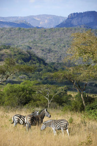 Posada Tomjachu Bush Lodges