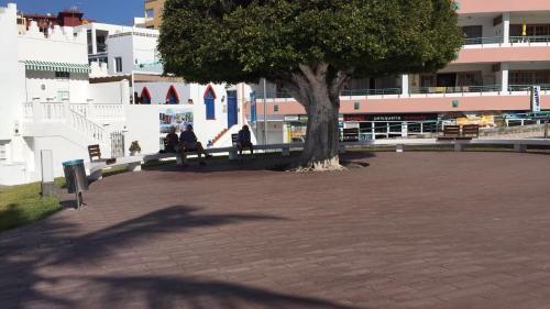 Apartamento Delfin Playa