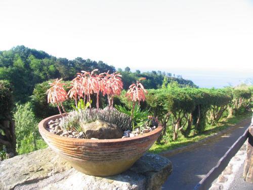 Agroturismo Igeldo