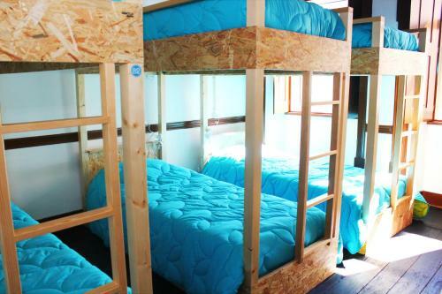 Single Fin Isurf Hostel
